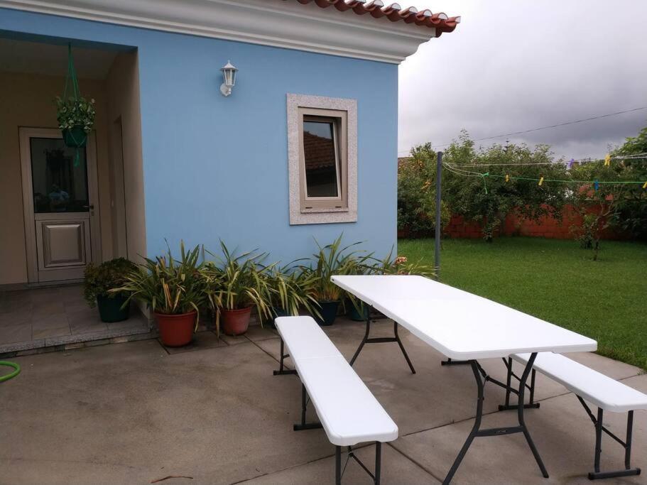Maison Proche De La Mer Murtosa Ngoại thất bức ảnh
